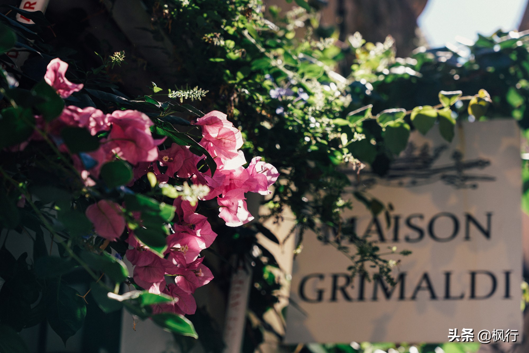 比巴黎浪漫还安全，南法海边的这几个风情小镇，好莱坞电影取景地