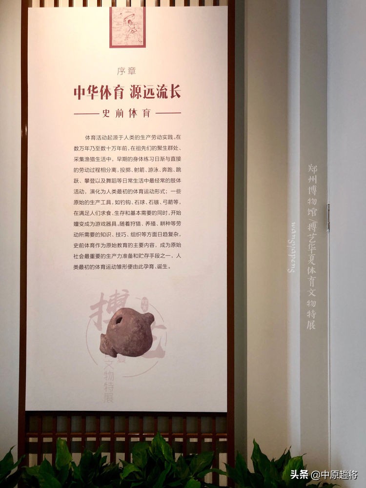 古代的体育运动你知道多少？郑州博物馆看华夏体育*物文**特展