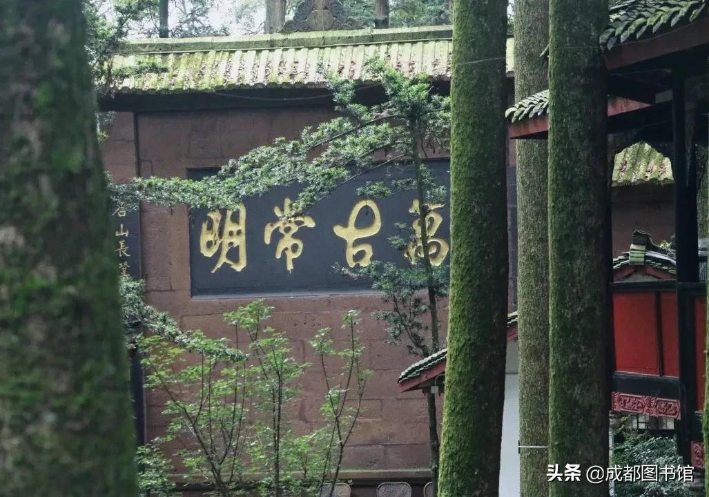 成图4月品牌活动到!快来赴一场*光春**之约