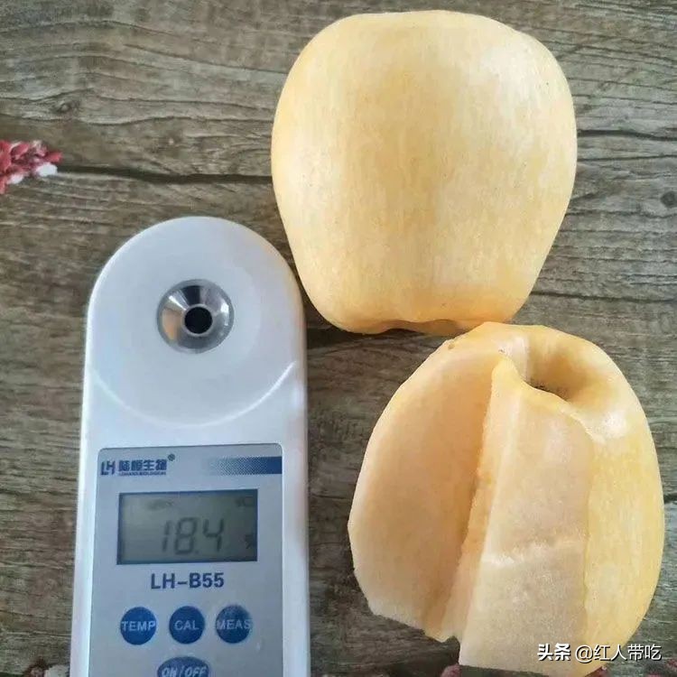 小时候吃的又黄又大的苹果,山东人小时候最爱吃的