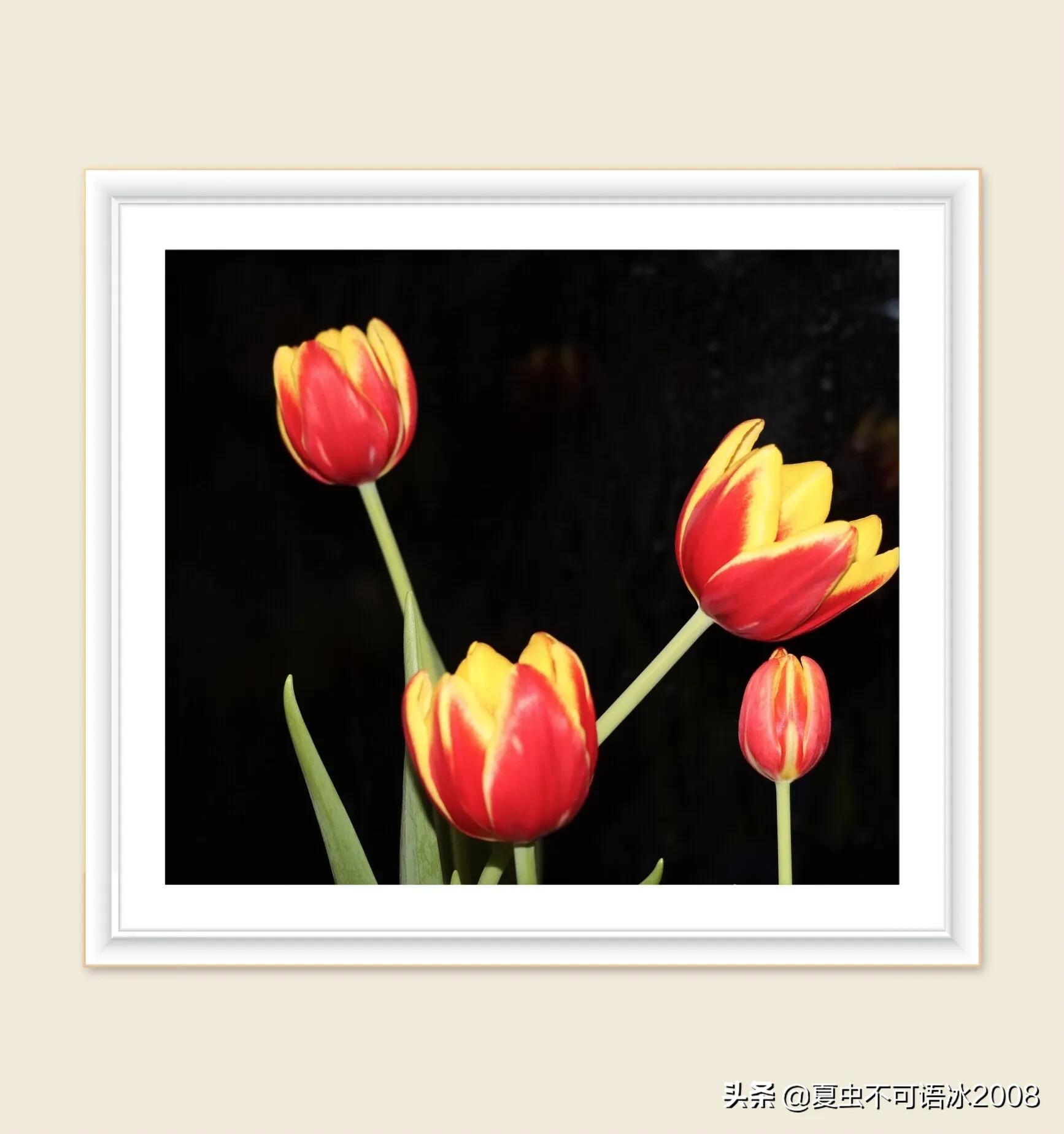 微课在物理教学中的应用,微课在物理教学中的应用论文