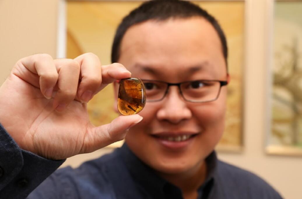 科学家发现史前恐龙生命强大,中国科学家已经复活恐龙了吗