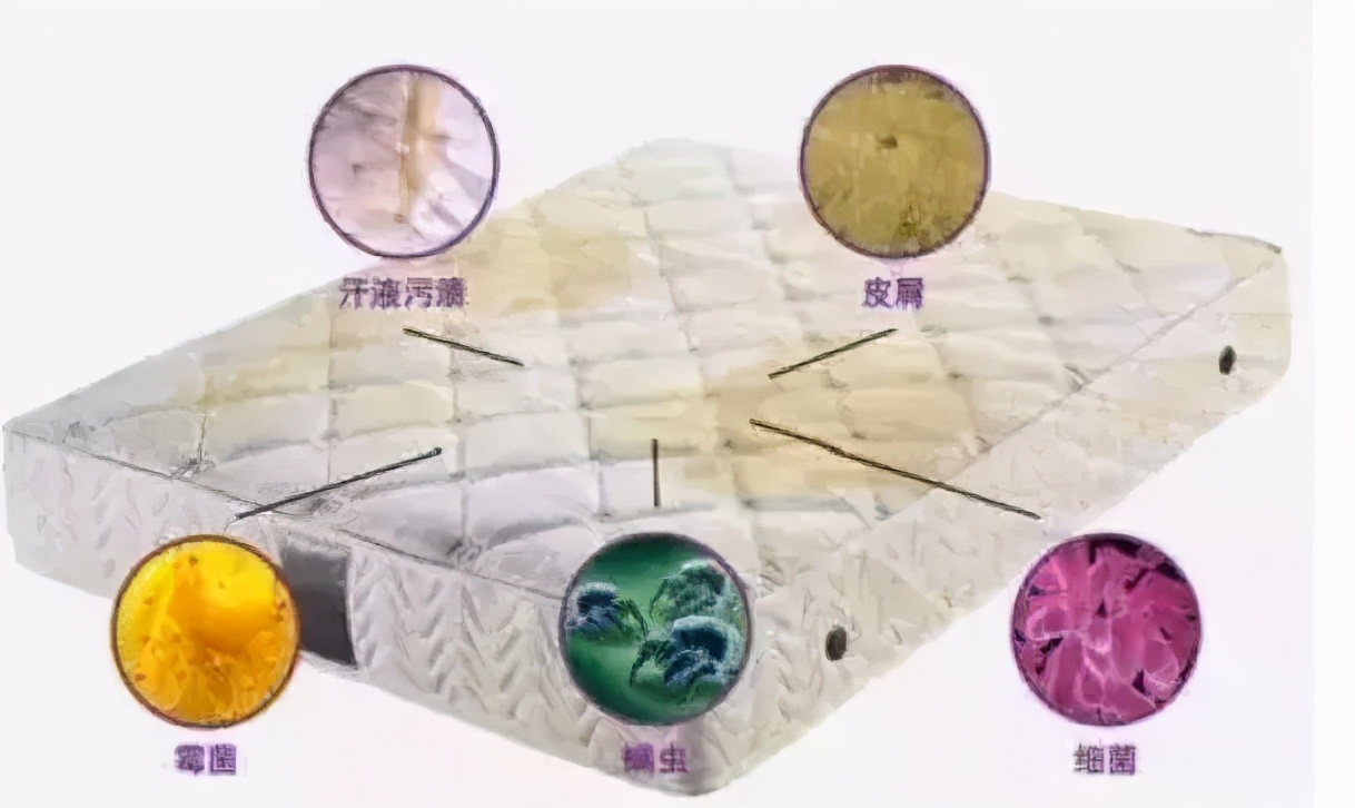 夏季清理床垫的三个步骤,春节打扫床垫