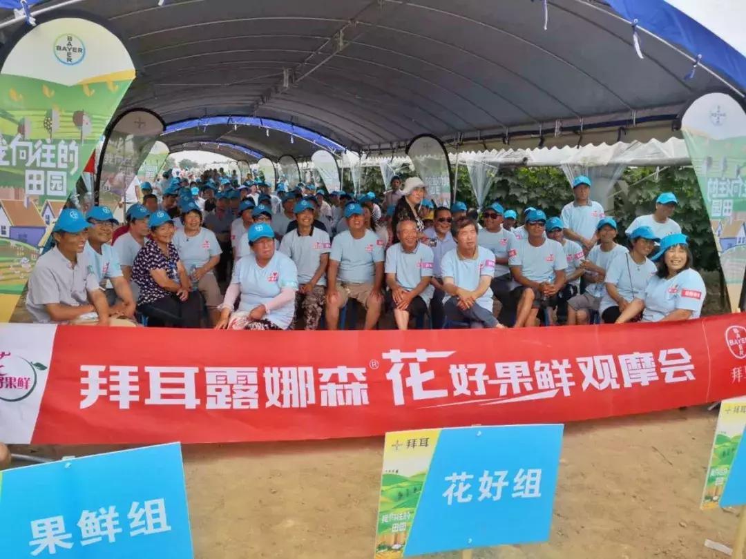 30亩葡萄园农场怎么利润最大化,10亩葡萄园一年能赚多少钱