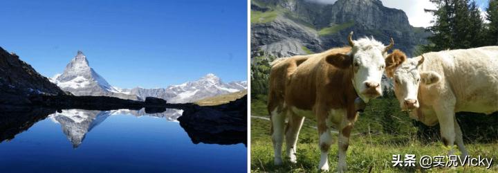 vicky鏃呮父鏀荤暐,vicky鐨勬梾琛寁log