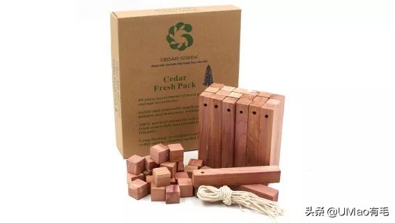 夏季会害了猫的7个行为,夏天对猫咪排泄有影响吗