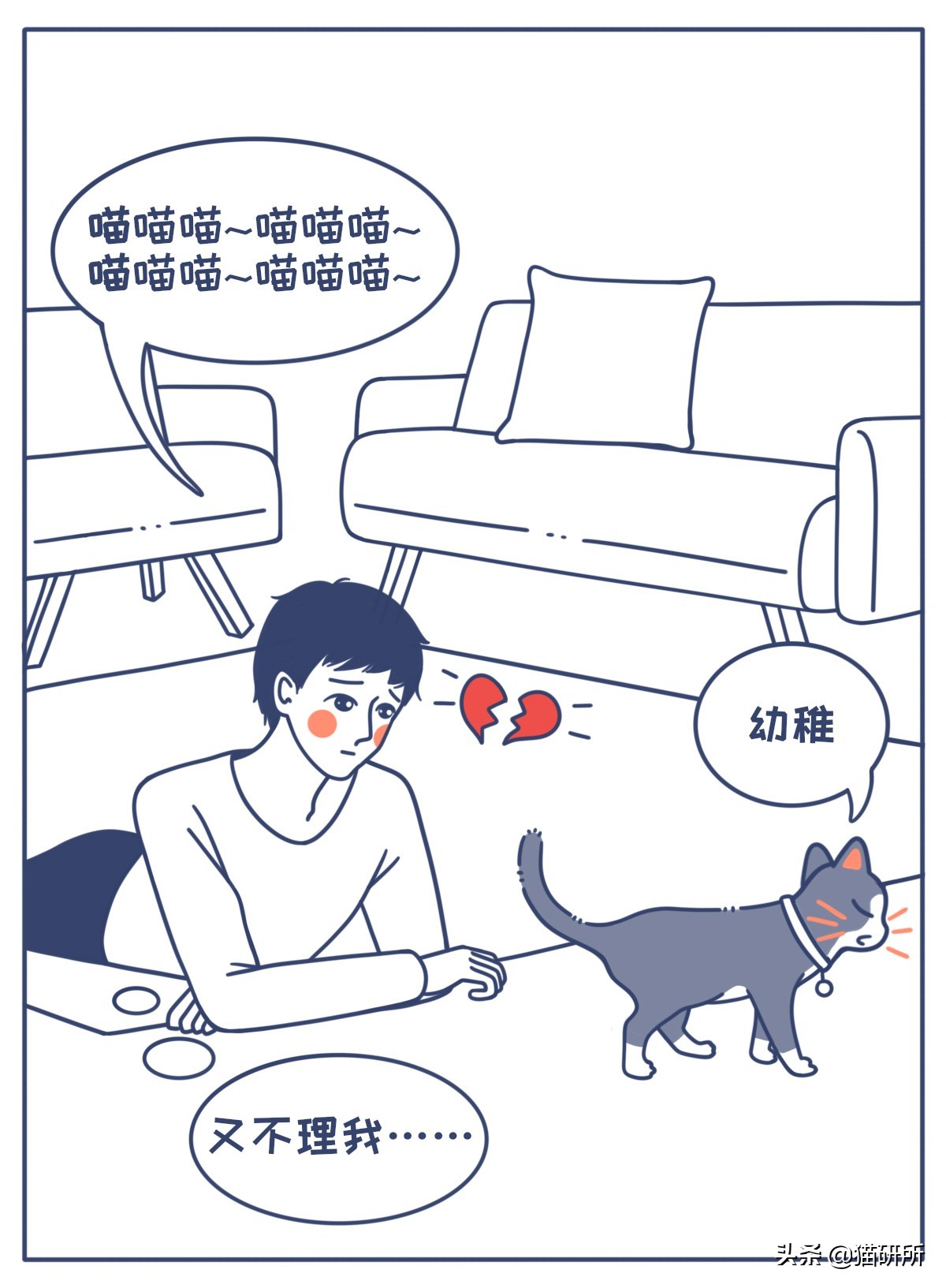 对猫的误解狂犬病,关于猫的冷知识有哪些