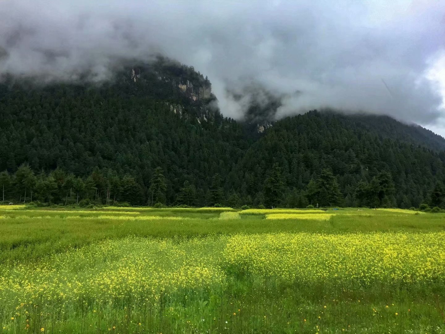 吉隆口岸旅游攻略,西藏吉隆自驾游攻略