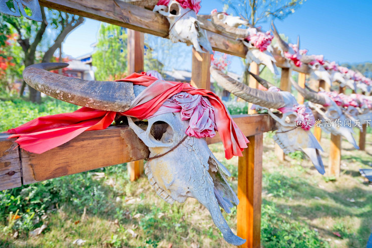 4天3晚只要800贵州攻略,4天3晚有什么好玩的地方