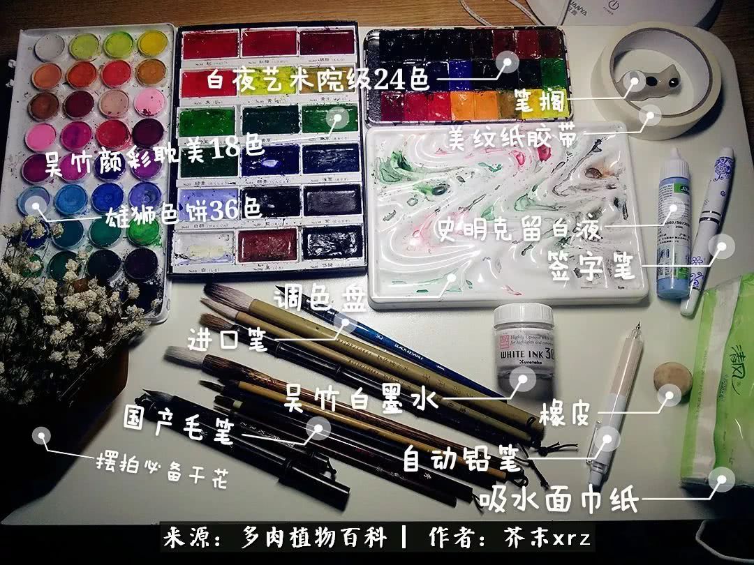 那个爱画多肉的小姑娘带着她的心头肉又来啦！