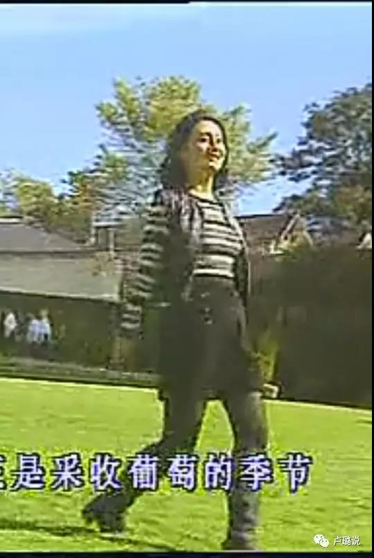 萧蔷林青霞,林青霞刘雪华年轻时谁美