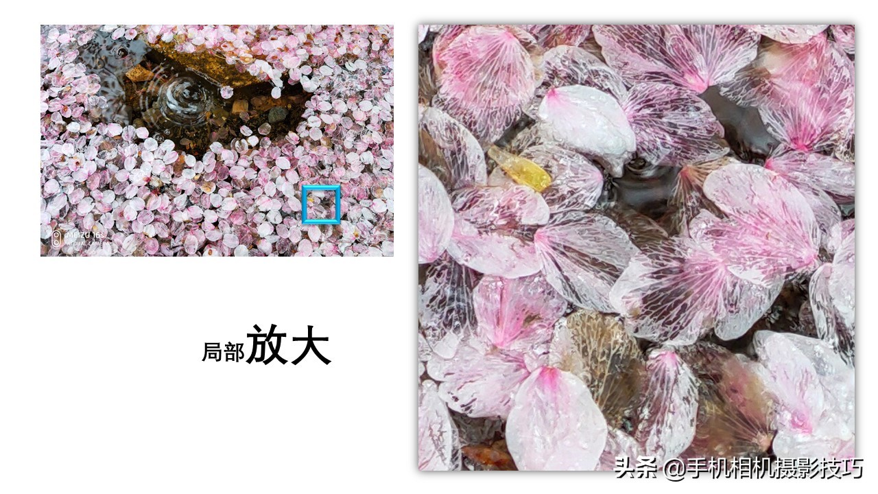 魅族16s拍照技巧,魅族16s拍照