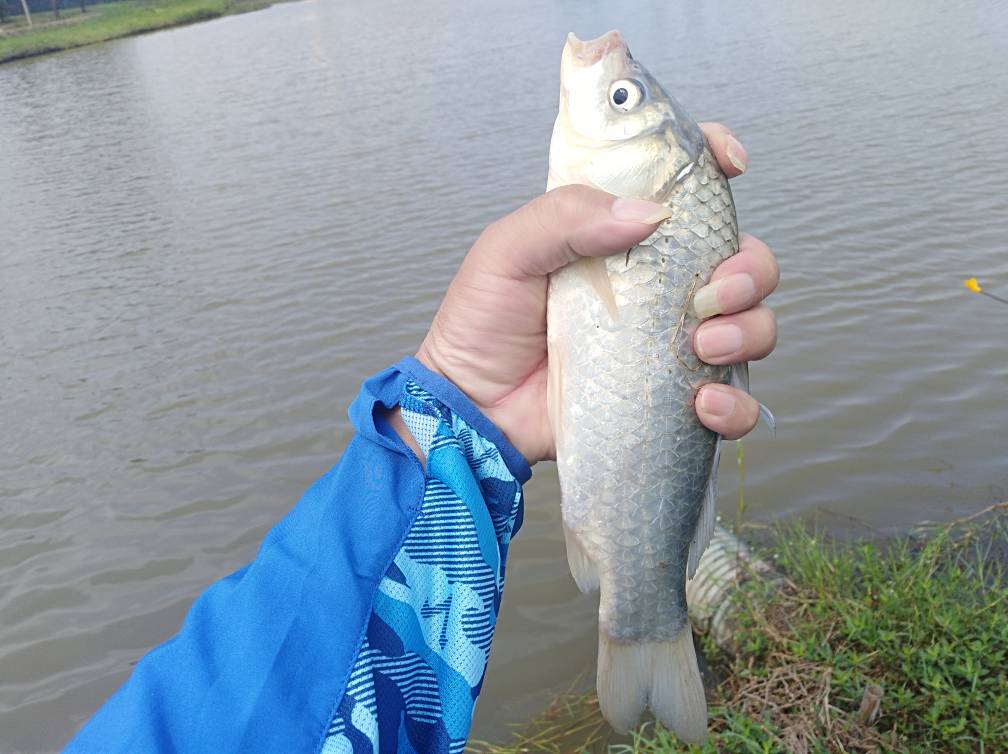 春季玩串钩,新式串钩的垂钓方法