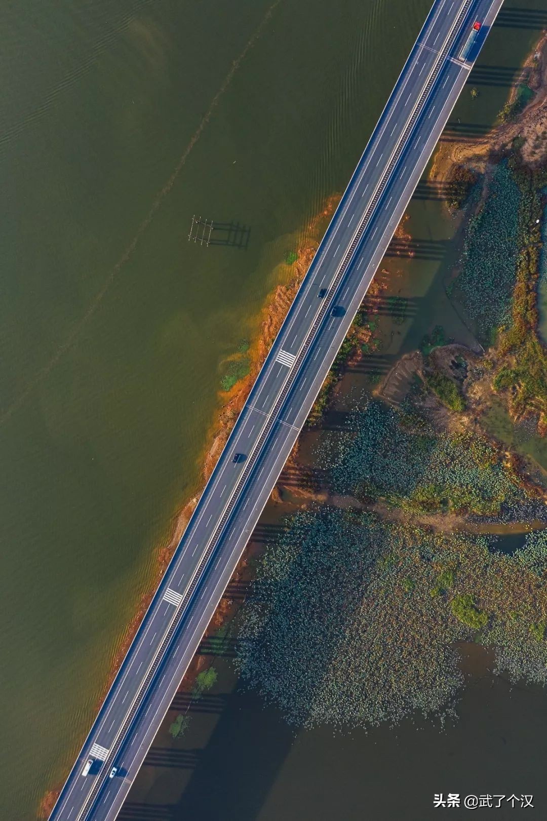 武昌向南择墅而居,这或许是你离理想生活最近的一次