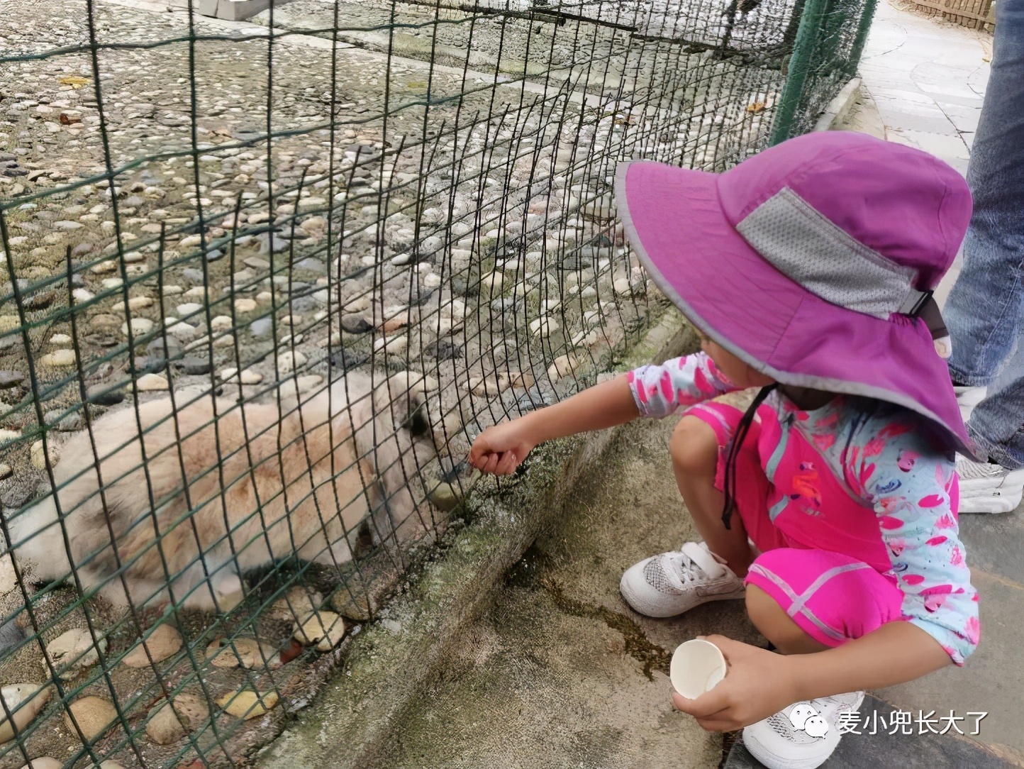 clubmed在中国的9家度假村,国内最好的clubmed亲子度假酒店