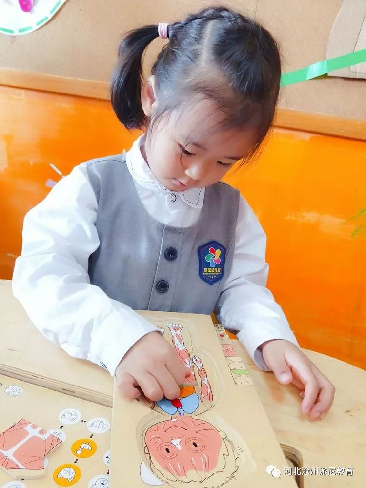 身体大揭秘动画,身体大揭秘