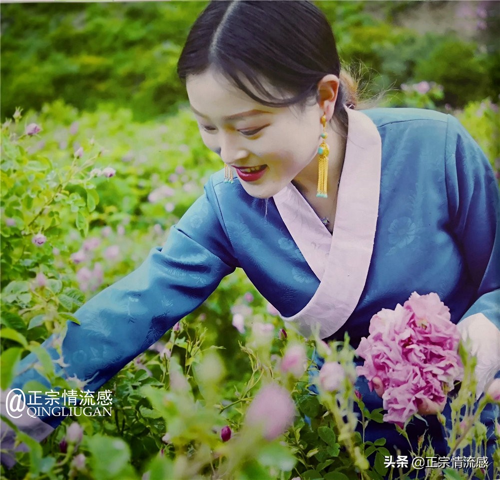 夜色成都串串爽，魅力小金苹果香#国庆中秋趣哪玩#