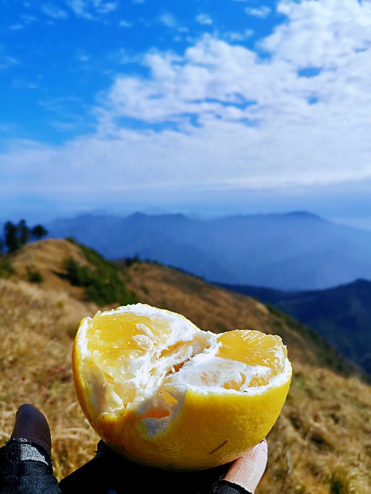 20201101惊悚之行~首阳山大坪梁单日横穿+原返