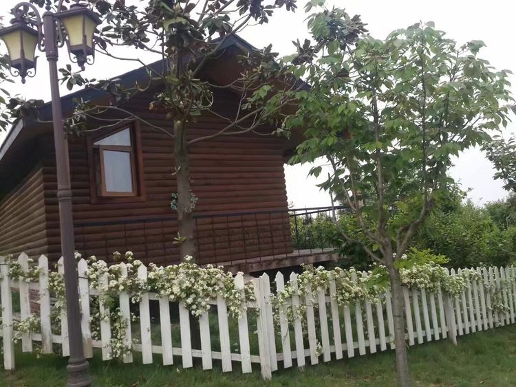 临沭冠山银杏树,临沭冠山道教