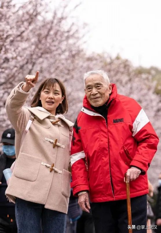 樱花感人瞬间,2020年武汉感动人瞬间