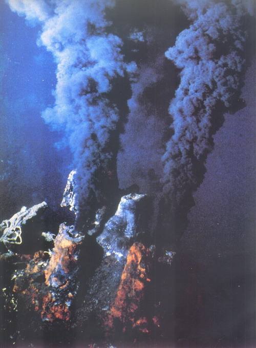 5千米海底450度热液泉旁的小虾米，高压锅能炖烂不？味道如何？