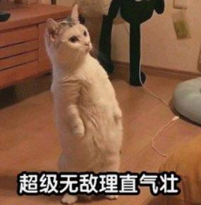 江辰江直树,江辰赵泛舟