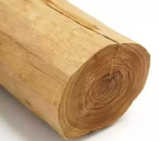 升值又治病|木头中的四大名药，你了解吗？