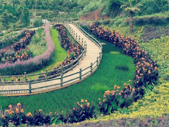 鍏嬩緷榛戠伀鎶婅妭绡濈伀鏅氫細,鍏嬩緷榛戠伀鎶婅妭鐜板満鐩存挱