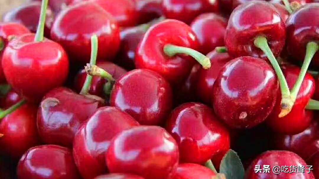 最新方法清洗樱桃,樱桃清洗小技巧图片