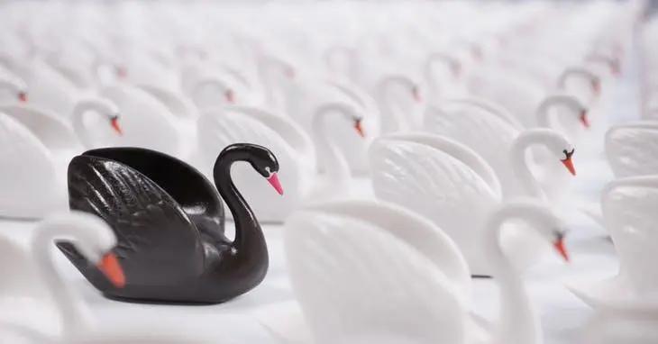 金融风暴的来临,一场金融风暴的震撼实录