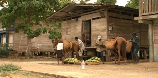 在农村开一家超市的利润,巴拿马开超市需多少资金