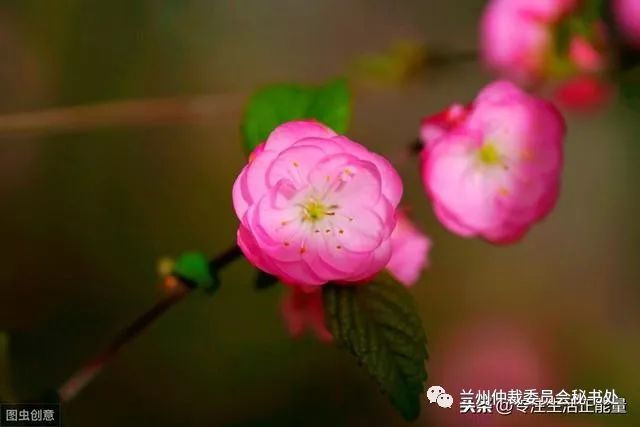 【兰仲悦读】三观不同，不必为伍