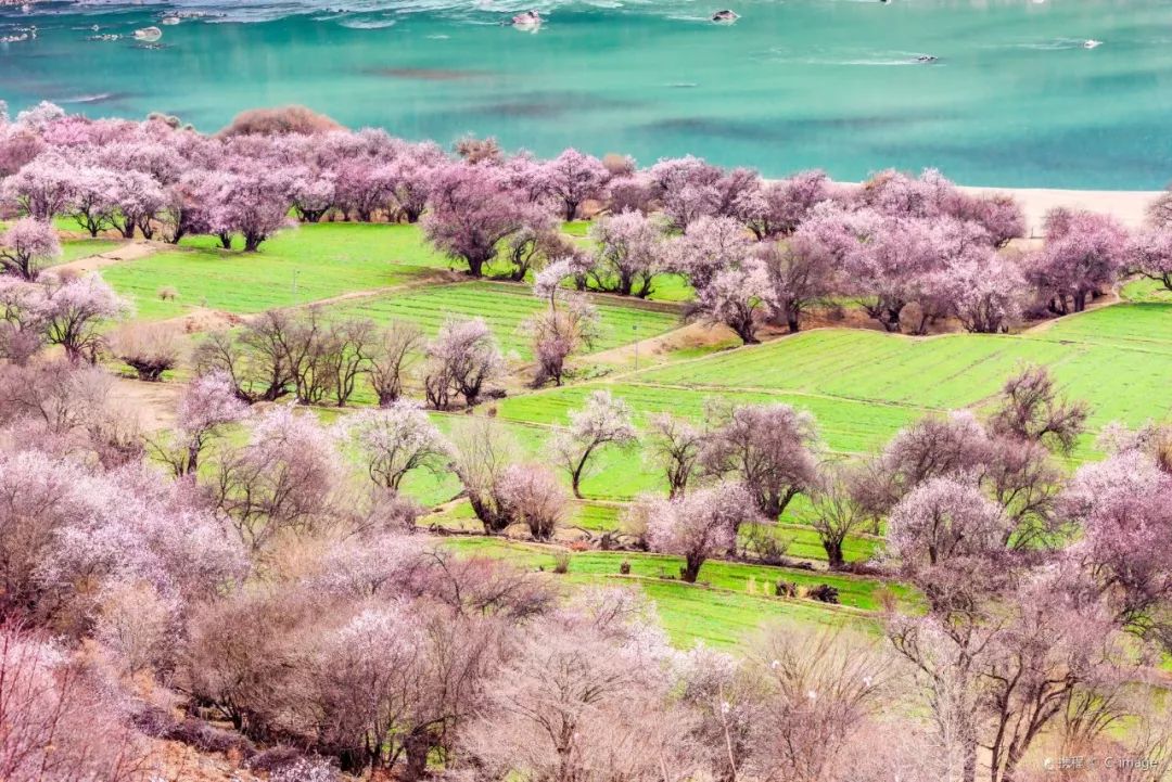布达拉宫罗布林,布达拉宫罗布林门票