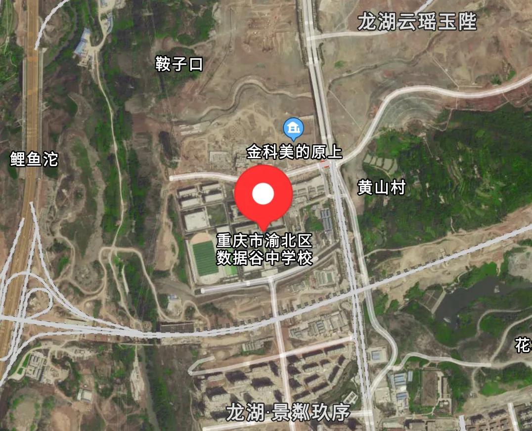 重庆中央公园配套学校,重庆中央公园南的学校