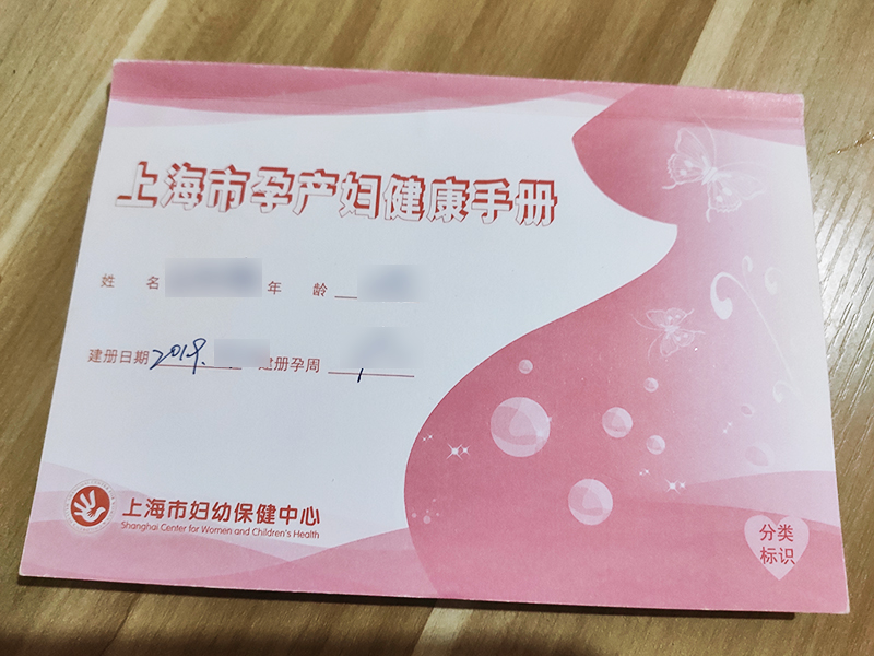 沪漂孕妇,沪漂孕妈