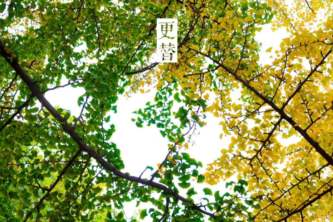 三亚和厦门哪一个更值得去旅游,三亚和厦门哪个更值得去旅游