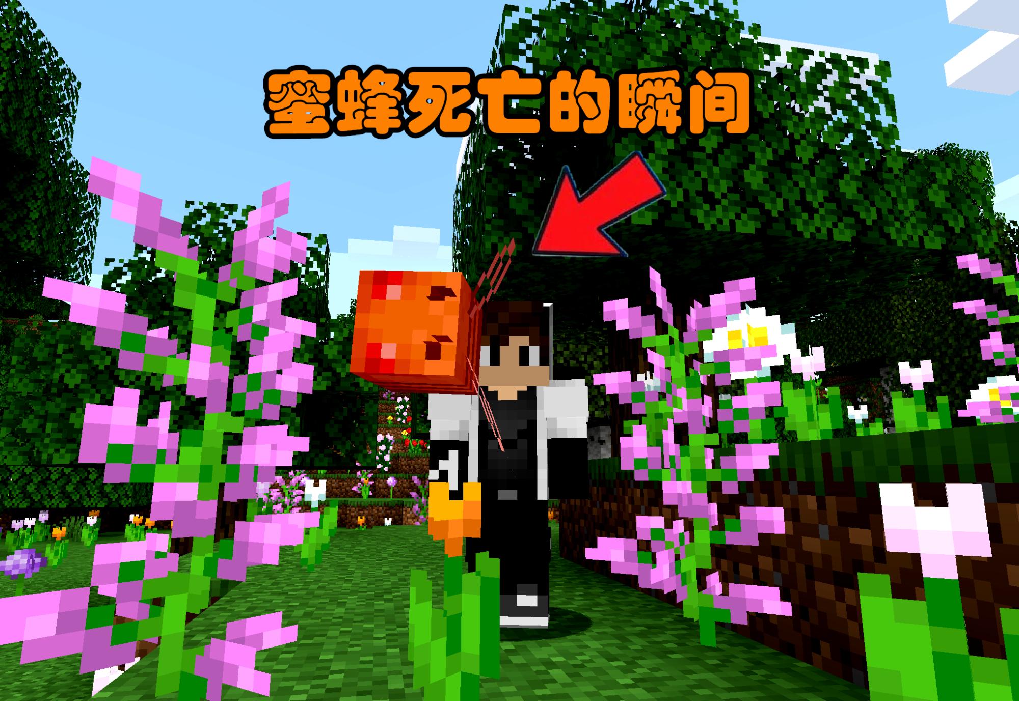 我的世界1.19更新的新宠物,我的世界1.19三个新生物