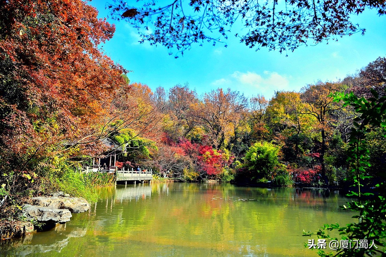 南京四大赏枫地 (南京赏枫胜地)