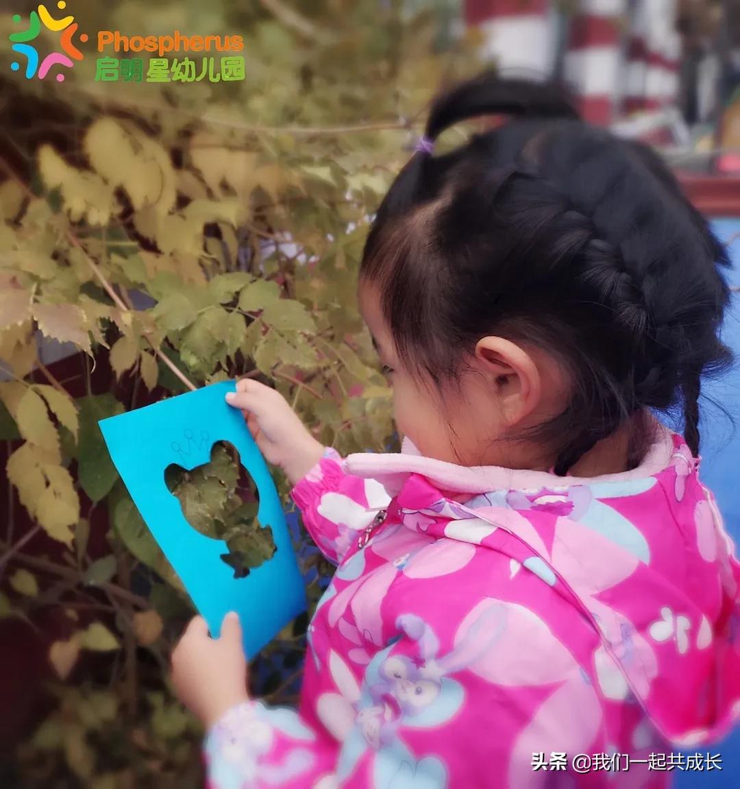 寻一抹秋色，遇一片美好：济南市启明星幼儿园的秋之美