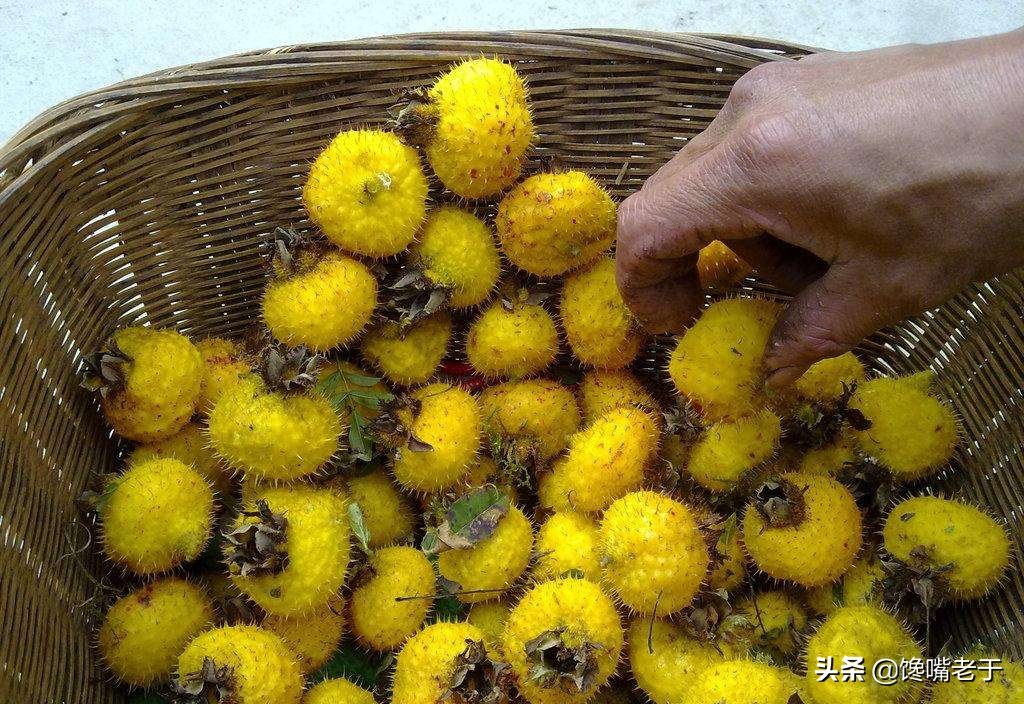 绔嬬鍚庣殑娌欐紶瑗跨摐,鍏ョ鍚庣殑瑗跨摐鑳戒笉鑳藉悆