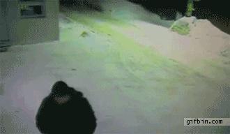 搞笑gif动图吸引人,不听话搞笑gif动图