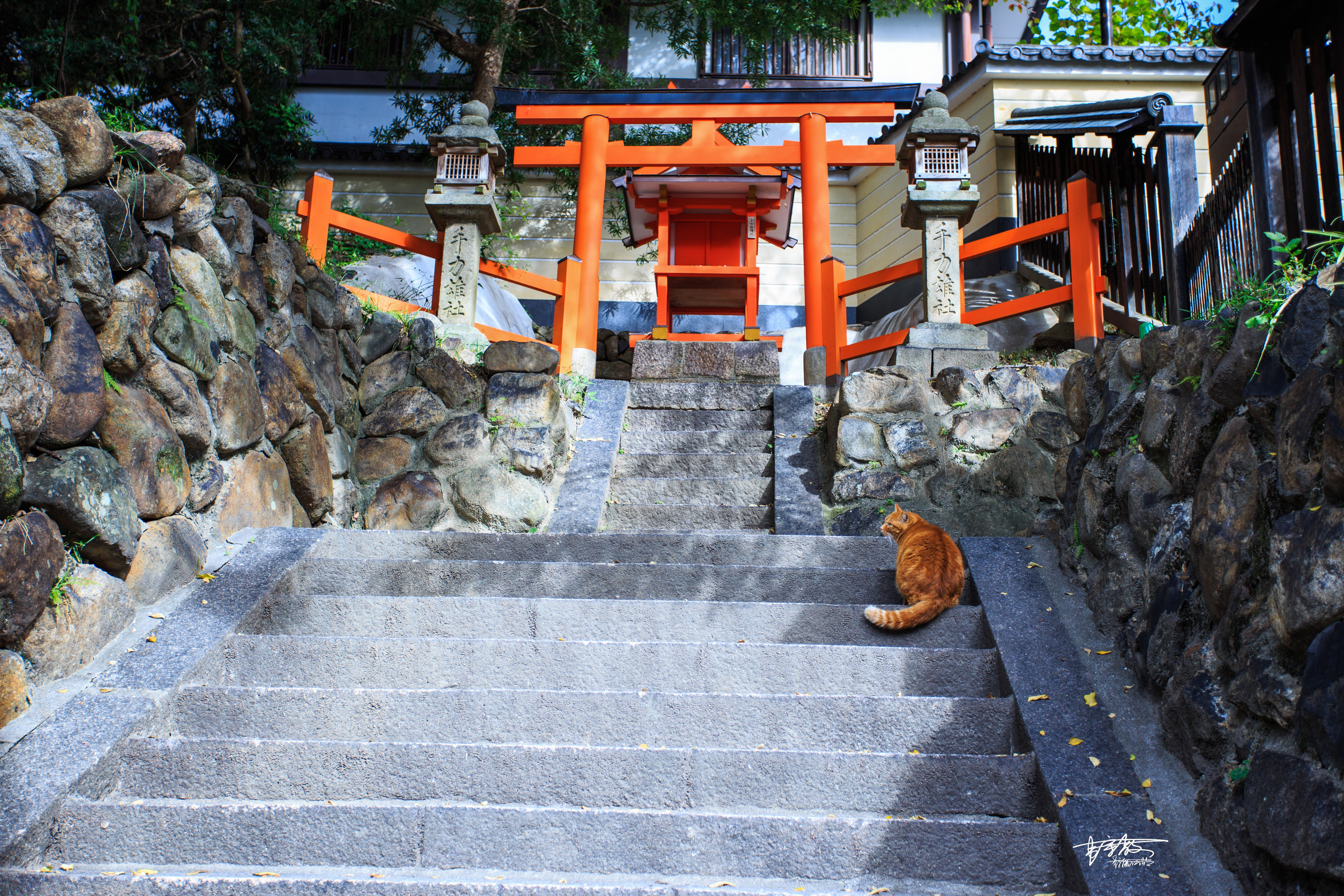 网红打卡景点奈良,日本奈良10大网红打卡景点