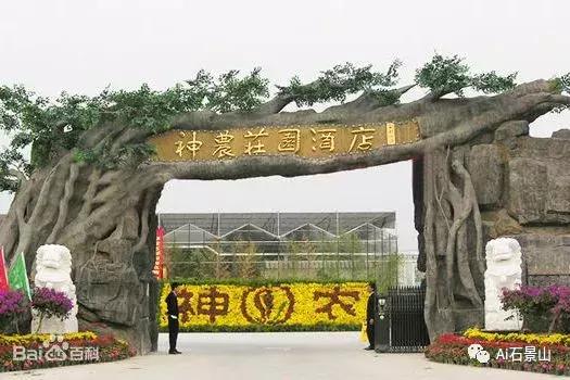 十年对比照片挑战,十年挑战前后对比