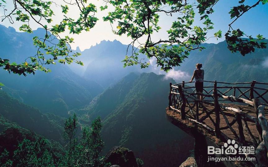 “*肥药减**”，别乱买