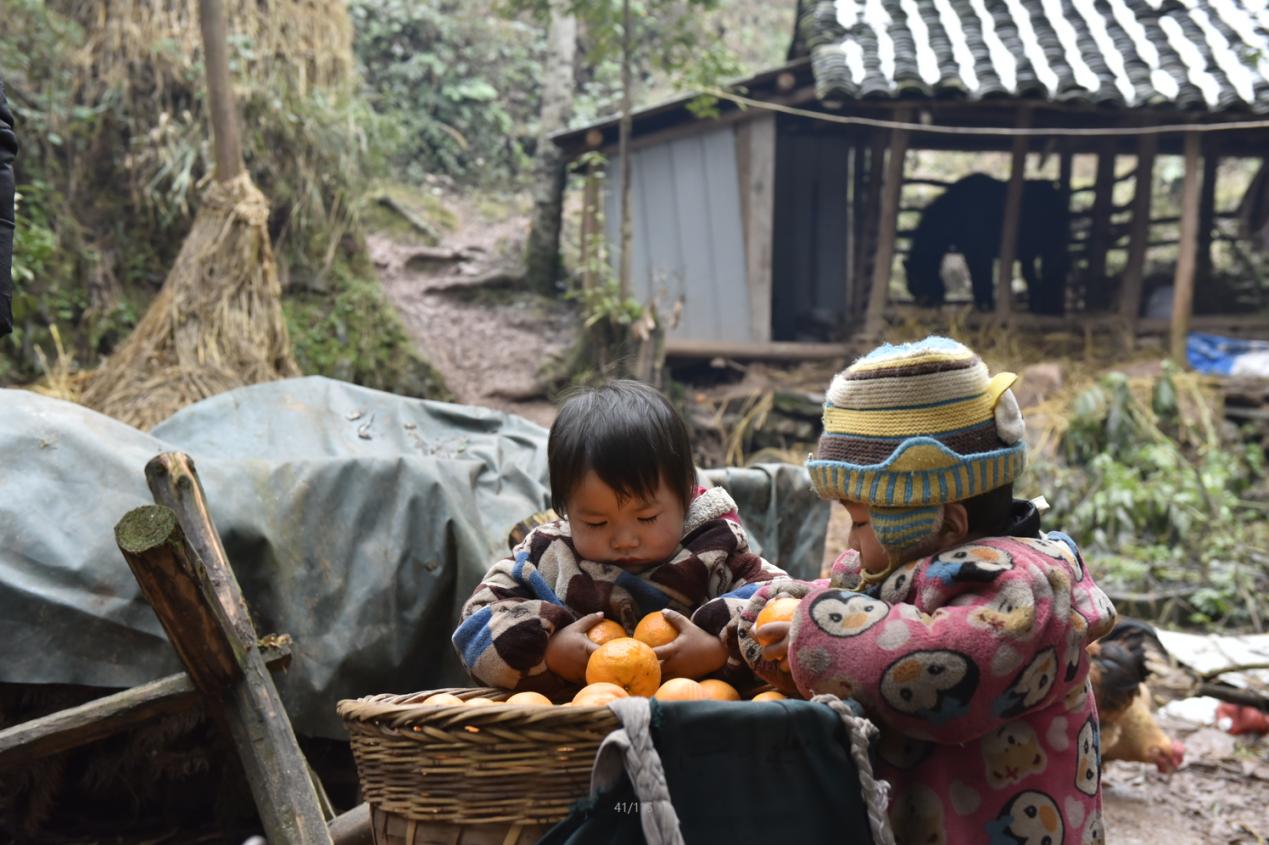 免狐扶贫项目上线，为麻阳甜橙解决销路难题