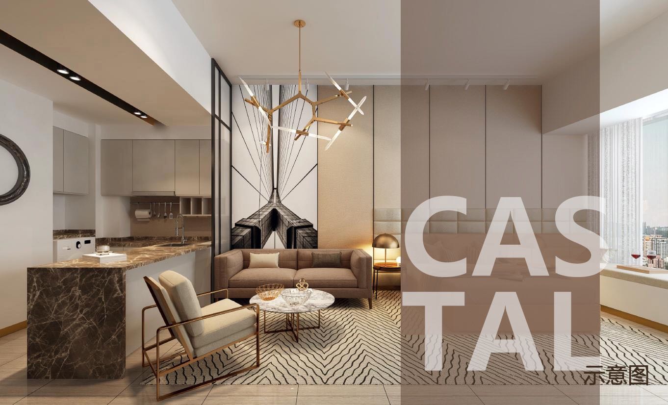 美丽新海岸五期一室二手房,美丽海景城市