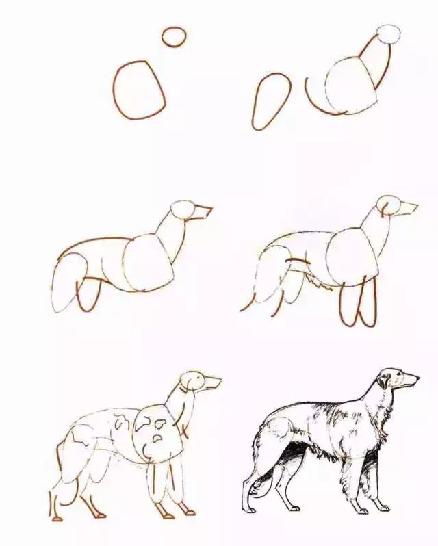 你想要的简笔画教程,一学就会的简笔画教程