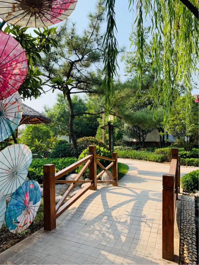 郑州黄帝宫御温泉房价,黄帝宫御温泉打卡温泉