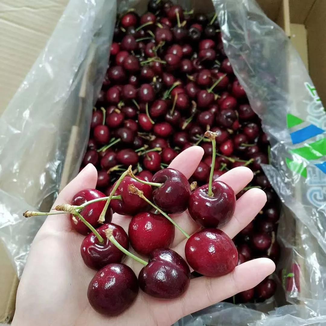 天天蔬果,天天蔬果新消息