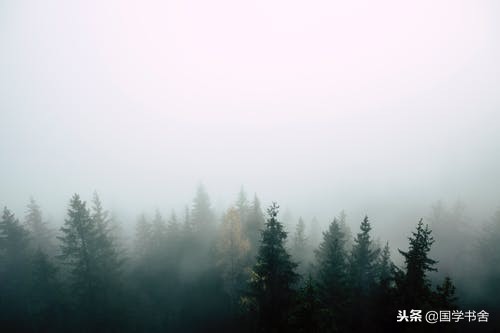 王阳明:做到清心寡欲,摆脱那些私心和私欲,就是良知的体现